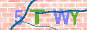 CAPTCHA 驗證圖片