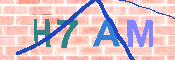 CAPTCHA 驗證圖片