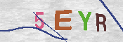 CAPTCHA 驗證圖片