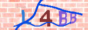 CAPTCHA 驗證圖片