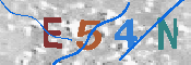 CAPTCHA 驗證圖片