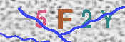 CAPTCHA 驗證圖片