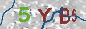 CAPTCHA 驗證圖片