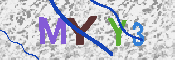 CAPTCHA 驗證圖片