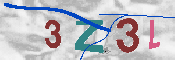 CAPTCHA 驗證圖片